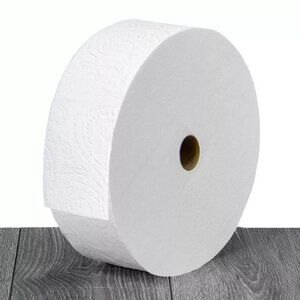 Charmin Forever Roll Bathroom Tissue 1 Pack 1700 Sheets 2 Ply Clog Safe JUMBO
